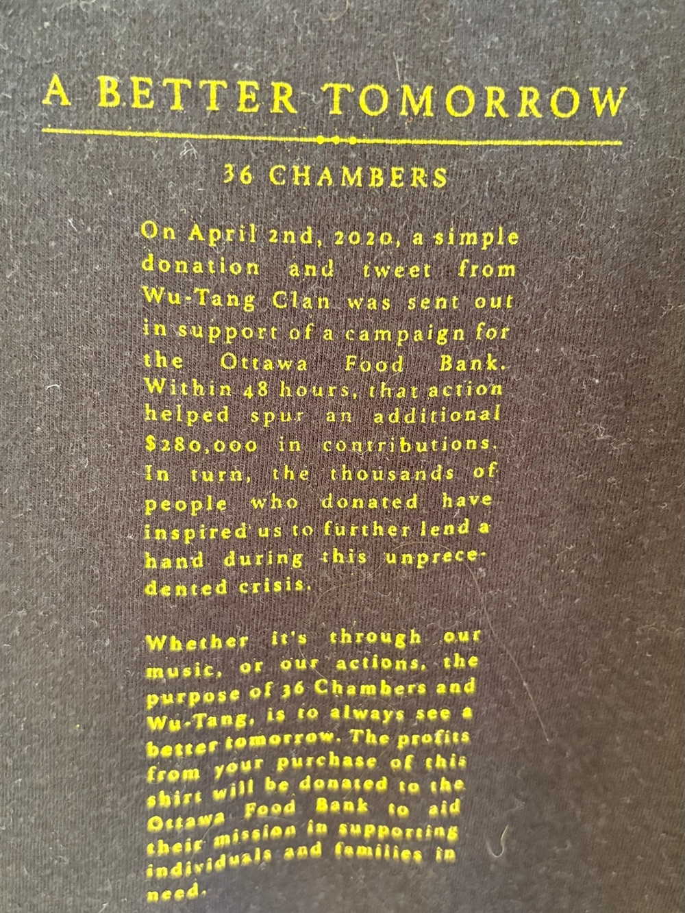 Ottawa/Wu-Tang collab Graphic Tee - Black with Yellow Logo - Picture 3 of 7